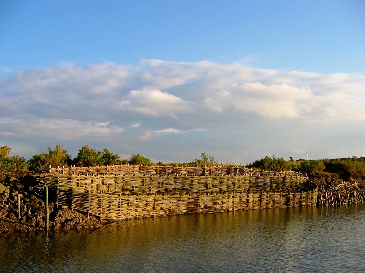 Erosion Control Structure by Burnham Willow at Burnham Overy Staithe
