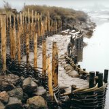 Burnham Willow Erosion Management
