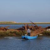 Burnham Willow Erosion Management at Burnham Overy Staithe