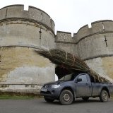 Burnham Willow on tour at Rockingham Castle Leicestershire