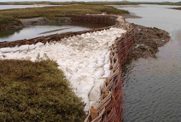 Erosion Control Structure by Burnham Willow