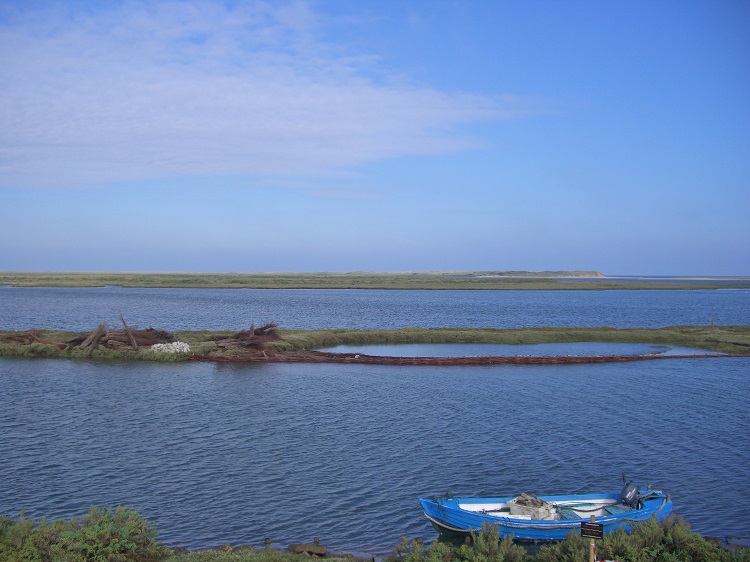 Burnham Willow Erosion Management project. Burnham Overy Staithe