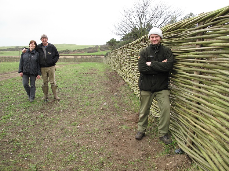 Burnham Willow Fencing.
