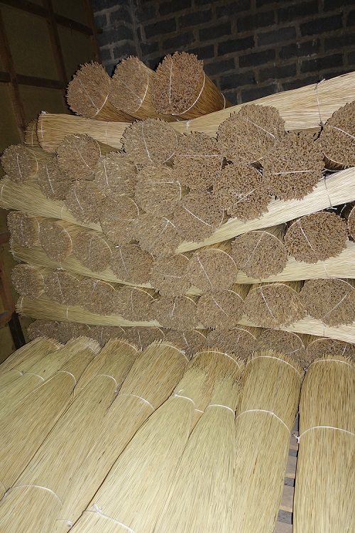 Processed White Willow