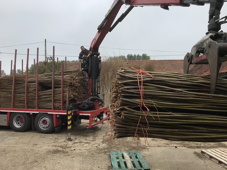 Burnham Willow Delivery of harvested Willow to the Yard