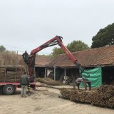 Willow delivery at Burnham Willows Yard in Burnham Thorpe