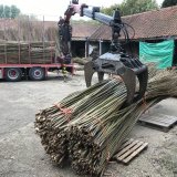 Willow delivery at Burnham Willow in the Yard at Burnham Thorpe
