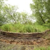 Burnham Willow Erosion Management