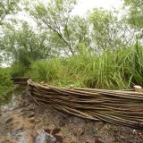 Burnham Willow Erosion Management