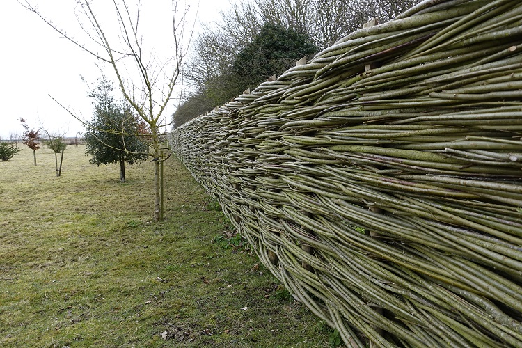 Burnham Willow Fencing Herrings Lane Burnham Market.
