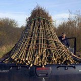 Burnham Willow with a full load in the Willow Bed