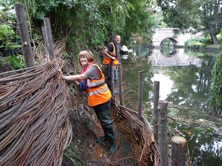 Burnham Willow Erosion Management on the River Wensum Norwich