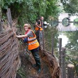 Burnham Willow Erosion Management on the River Wensum Norwich