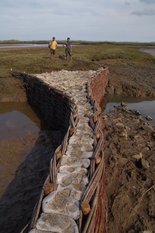 Burnham Willow Erosion management