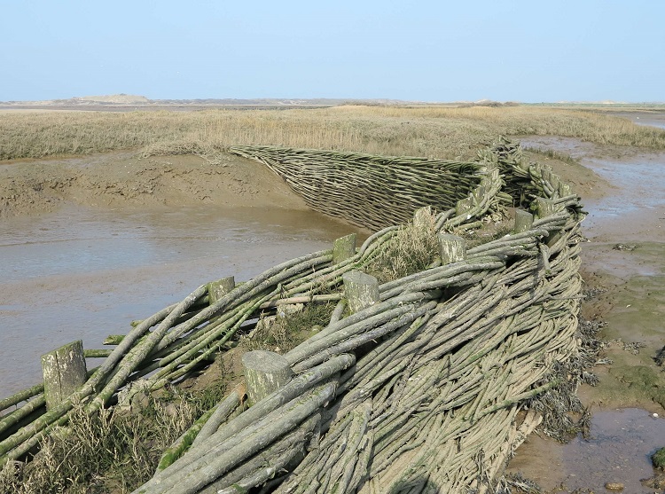 Burnham Willow Erosion Management project. Burnham Overy Staithe