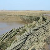 Burnham Willow Erosion Management Project. Burnham Overy Staithe