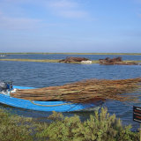 Willow Erosion control project in North Norfolk Erosion Project Overy Staithe North Norfolk