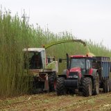 Mechanical Willow Cutter,chipping for Power Station