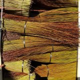 Flanders Red Willow
