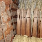 Buff and White Basket Willow
