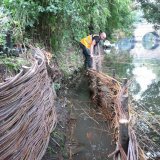 Burnham Willow Erosion Management on the River Wensum Norwich