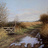 Liz Wright