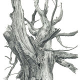 James Heyworth
