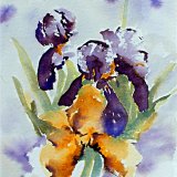 Irises