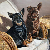 Meg and Jack - The Lancashire Heelers