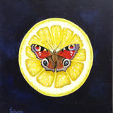 Peacock on Grapefruit