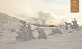 One Eyeland Photography Awards 2014 - Bronze Award for series of images titled "Nature's Art"- "Show me the way home..."