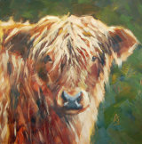 Shaggy Forelock oil 8 x 8"