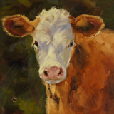 Looking at me? Oil 8"x8"