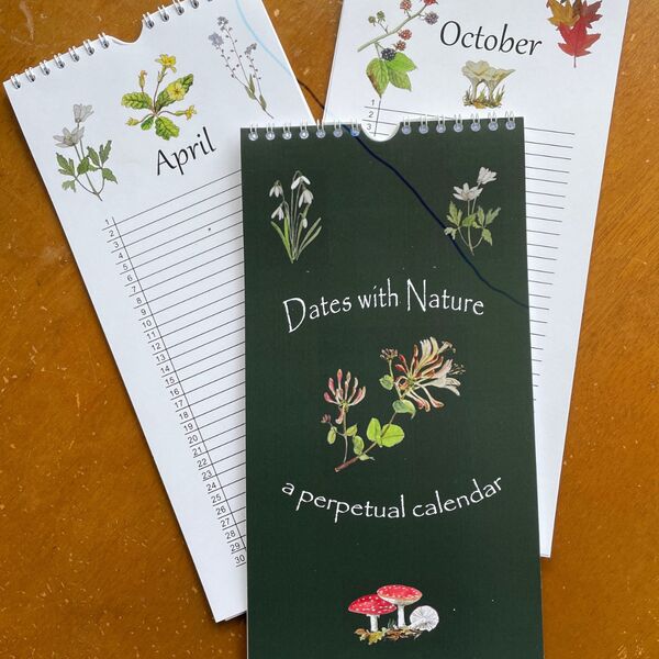perpetual birthday calendar 29x14cm. Designed & illustrated by Jenny Craig. Printed in Scotland. £12