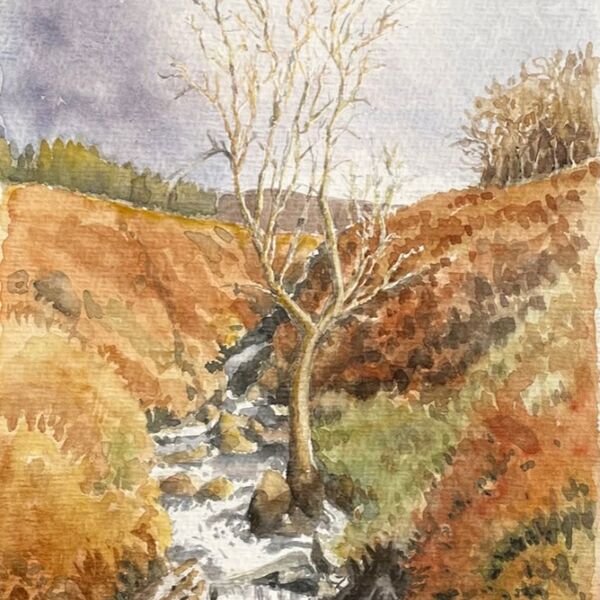 Bracken falls - watercolour