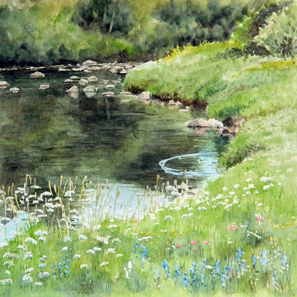 The Dragonfly Place - watercolour