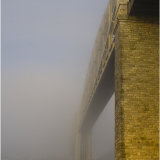 Albert in the mist