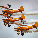 Wing Walkers display