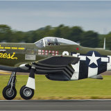 Mustang taking off