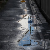 Puddles
