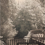 From the bridge in Bridge Street