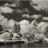 Along the river