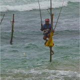 The tiddler