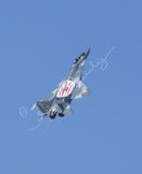 Polish Airforce Mig 29