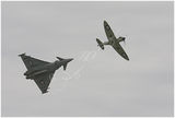 Spitfire & Typhoon