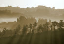 Tuscan Dawn