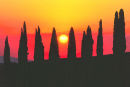Tuscan Sunset