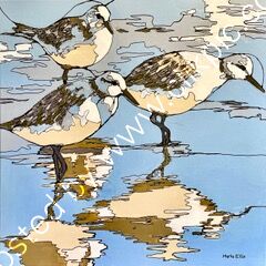 Water you doing today?