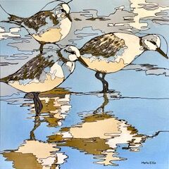 Water you doing today?