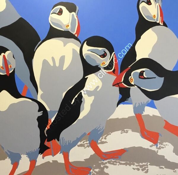 Much ado about puffin